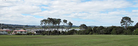 Luckens Reserve