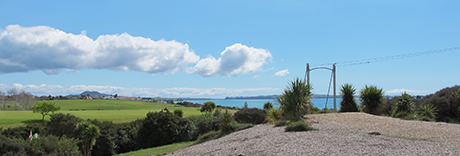 Macleans Park