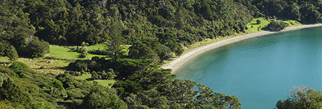 Mahurangi West Regional Park