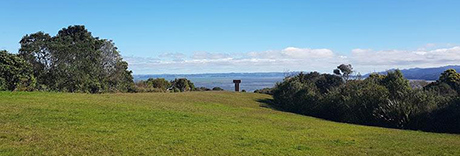 Manukau Domain