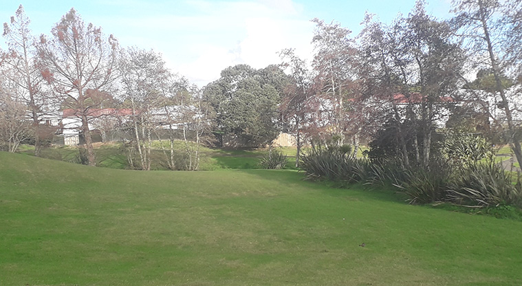 Maybury Reserve - Grassed hill with established trees along the ridge.