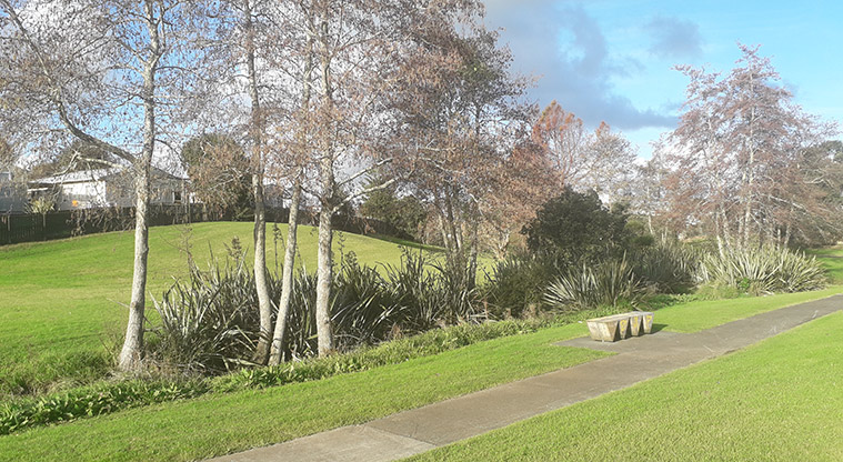 Maybury Reserve - Section of the path going through the reserve with trees and open grassed space in the background.