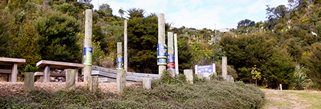 McKenzie Reserve