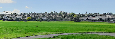 Meadowland Park