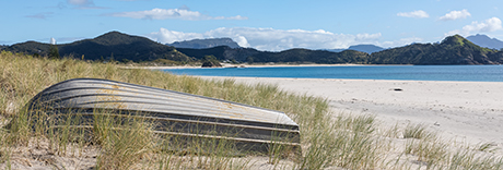 Medlands Beach