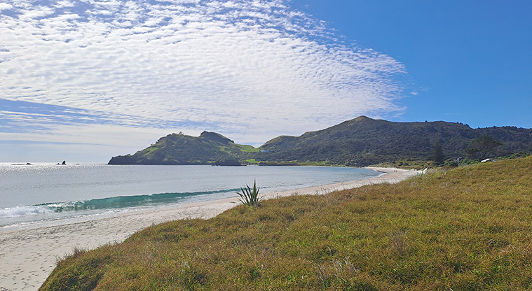 Medlands Beach - Looking down at the eastern end of the beach from up in the dunes.