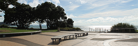 Moana Reserve