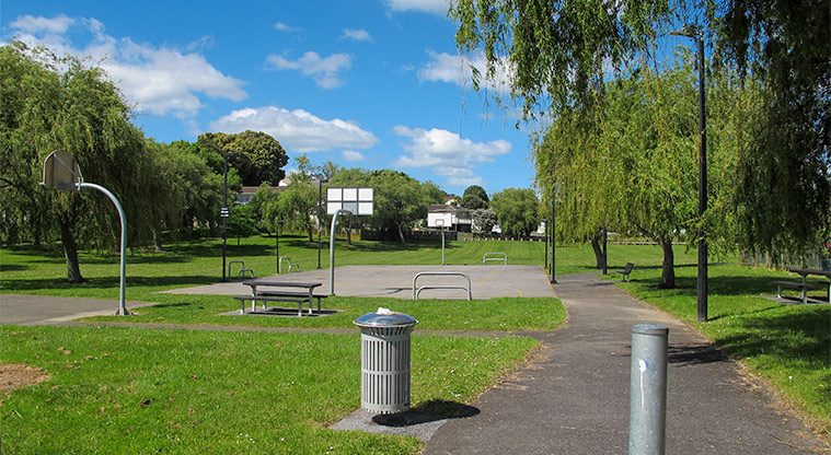 Molley Green Reserve - Picnic tables, seating, rubbish bin and basketball court.