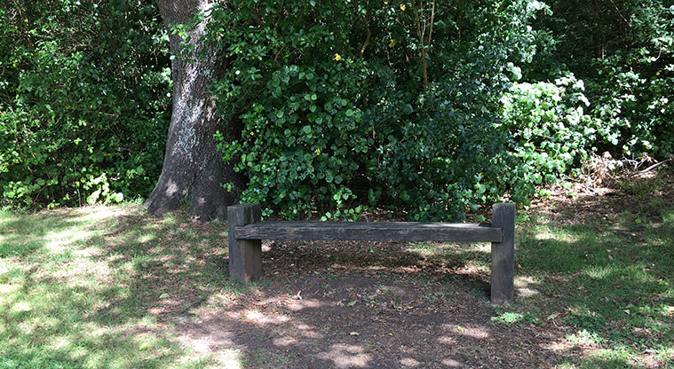 Maungawhau / Mt Eden - Seat under a tree.