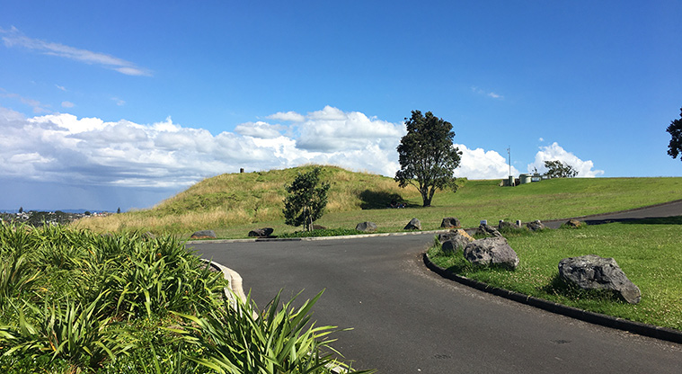 Pukewīwī / Puketāpapa / Mount Roskill - Intersection of the roads with the summit in the background. Photo credit: S Hulse.