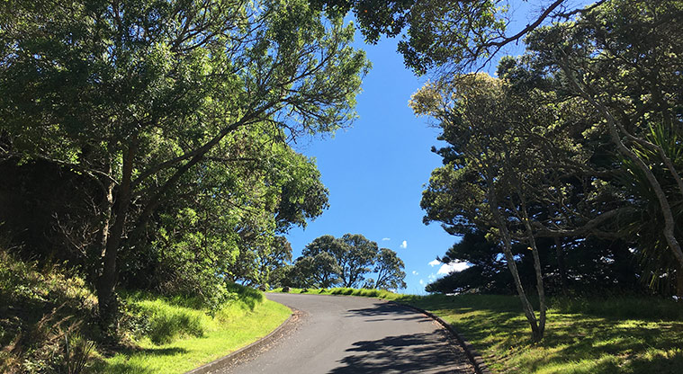 Pukewīwī / Puketāpapa / Mount Roskill - Section of the road up to the summit. Photo credit: S Hulse.