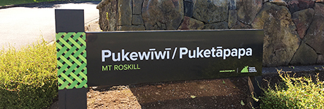 Mount Roskill