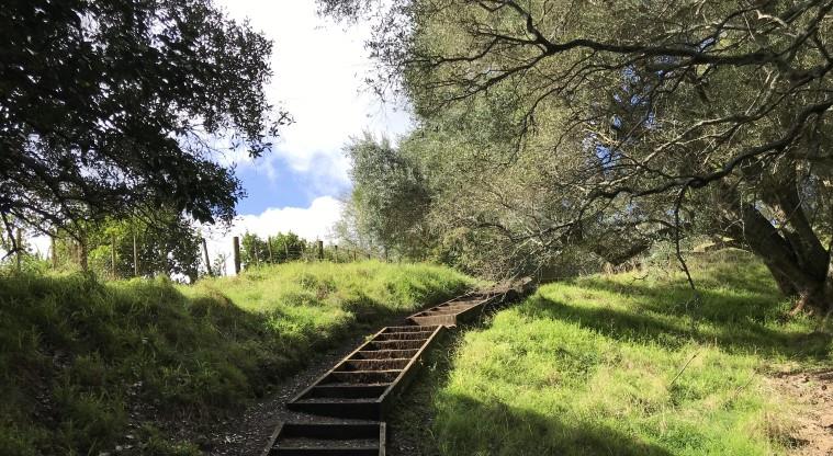 Te Kōpuke / Tītīkōpuke / Mount St John - Last set of steps leading up to the summit. Photo credit: S Hulse.