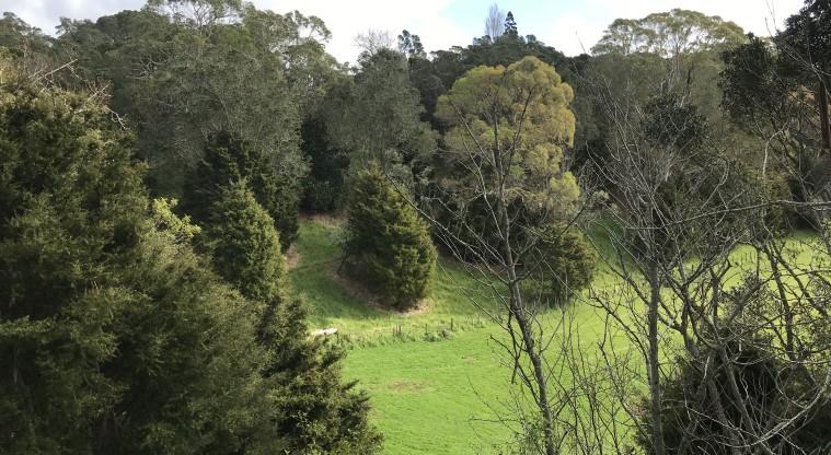 Ōwairaka / Te Ahi-kā-a-Rakataura / Mt Albert - View down into the outer crater.