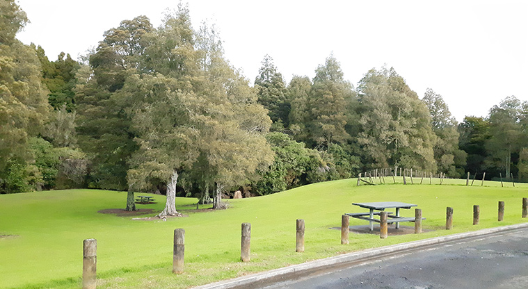 Murphys Bush Reserve - Open grassed space, trees and picnic tables alongside the parking area.