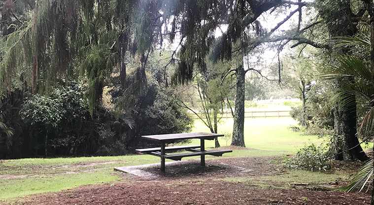 Murphys Bush Reserve - Picnic table and seating under the trees.