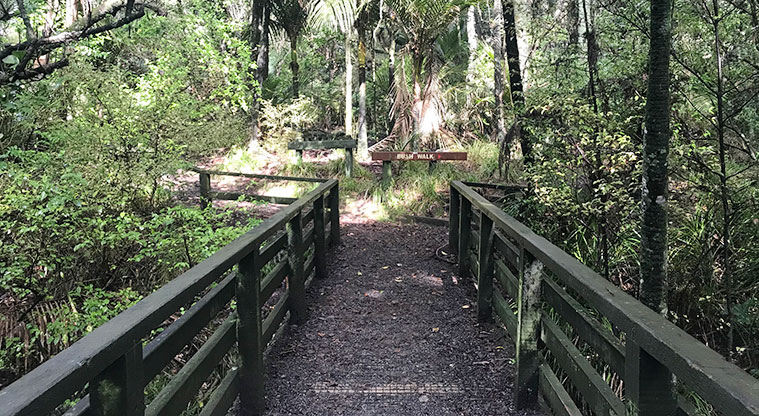 Murphys Bush Reserve - Section of walking track and a bridge through the bush.