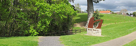 Murvale Reserve