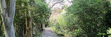 Ngataringa Park