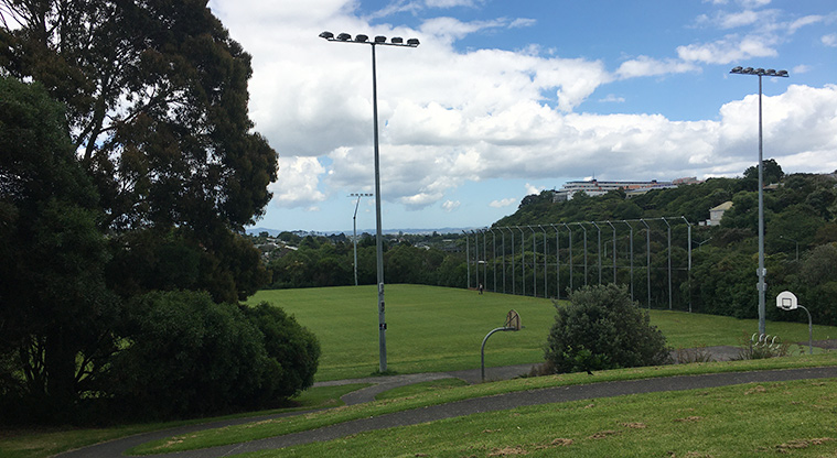 Nixon Park - Looking down from Bond Street to the sports fields. Photo credit: S Hulse.
