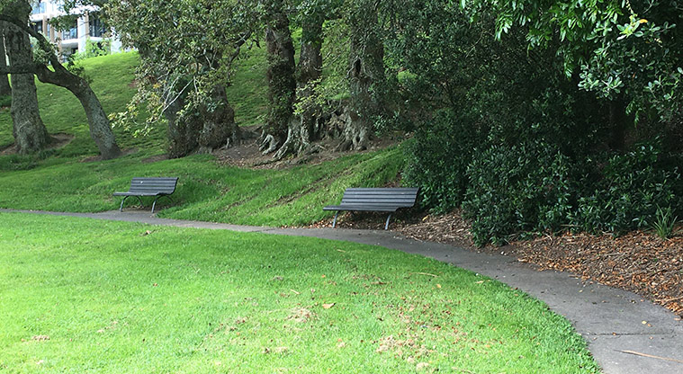 Nixon Park - Section of the path around the park with two bench seats under the trees. Photo credit: S Hulse.