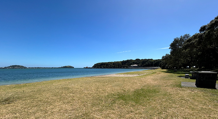 Okahu Bay Reserve - Looking east along the bay. Photo credit: S Hulse.