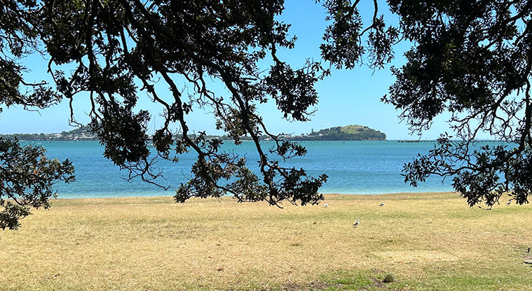 Okahu Bay Reserve - View through the trees and out of the bay. Photo credit: S Hulse.