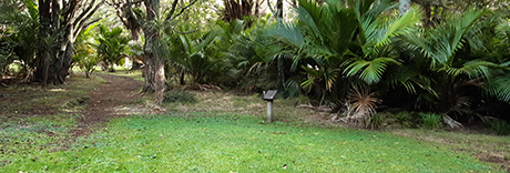 Okiwi Park