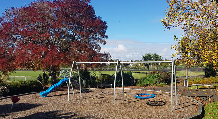 Olympic Park - Small playground with slide and accessible basket swing at the Portage Road side of the park.