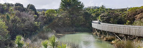 Omega Stormwater Pond