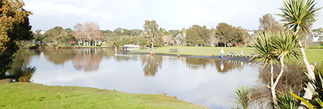 Onepoto Domain