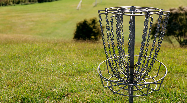 Onetangi Sports Park - Disc golf basket with open space and trees in the background.