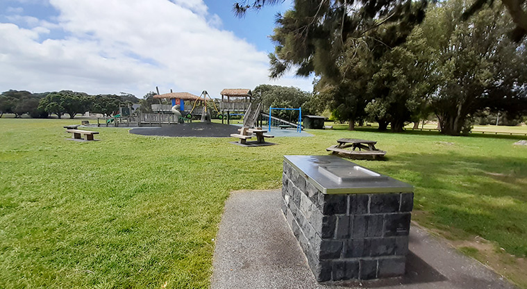 Ōrākei Domain - Barbecue with the playground, open space and trees in the background.