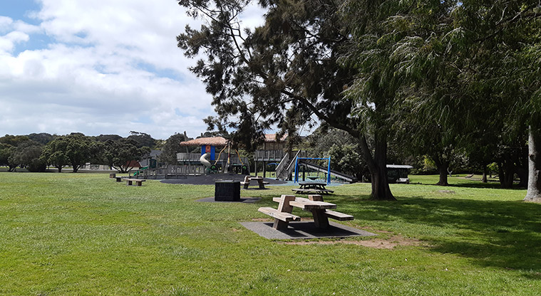 Ōrākei Domain - Open grassed space with picnic tables, a barbecue, the playground and trees.