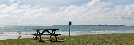 Ōrewa Domain