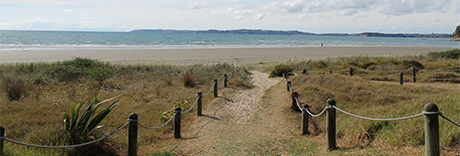 Ōrewa Reserve