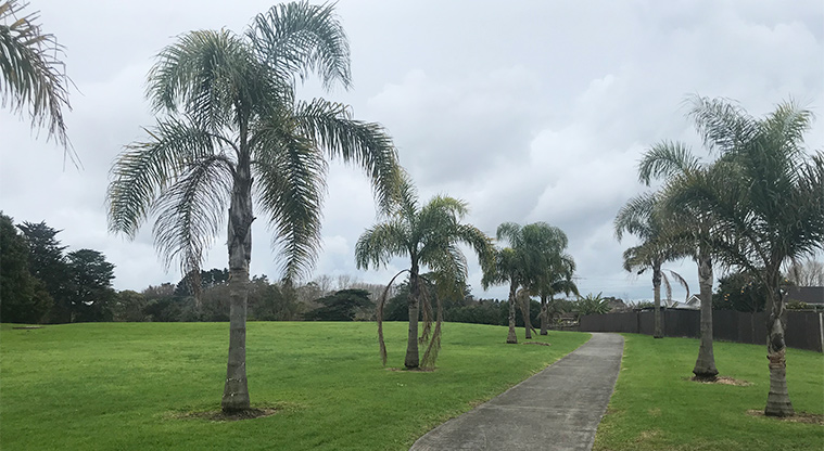 Ōtara Creek Reserve - Path through the trees.