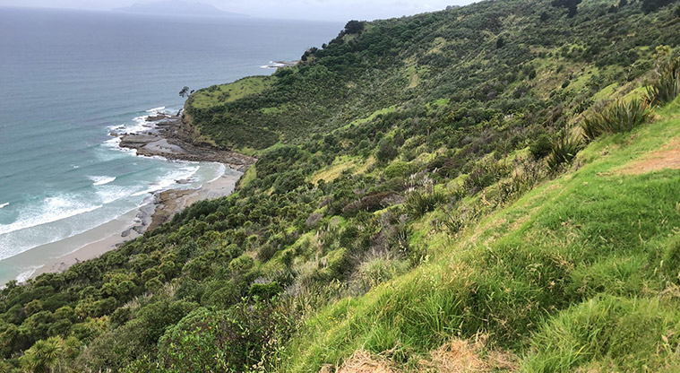 Pākiri Regional Park - View from the park land down to Pākiri Beach.