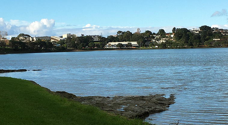 View of the basin.