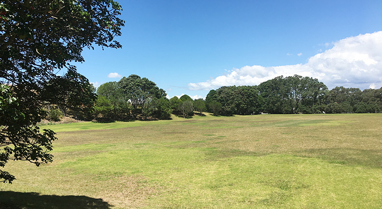 Ōhuiarangi / Pigeon Mountain - Open grassed space with trees in the background.