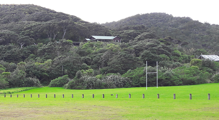 Piha Domain - Sports field and parking area.