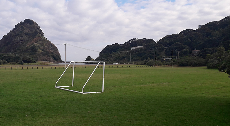 Piha Domain - Sports field.