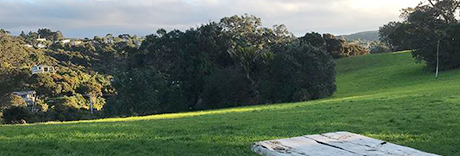 Pōhutukawa Reserve