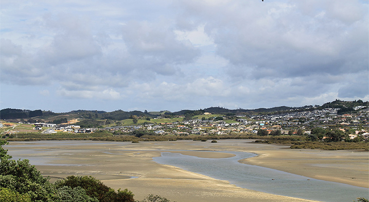 Pōhutukawa Reserve - Views of the Ōrewa Estuary. Photo credit: M Loubser.
