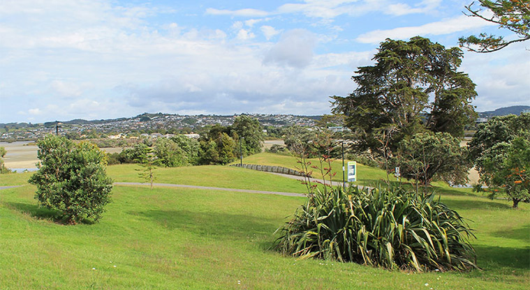 Pōhutukawa Reserve - Open grassed area with trees. Photo credit: M Loubser.
