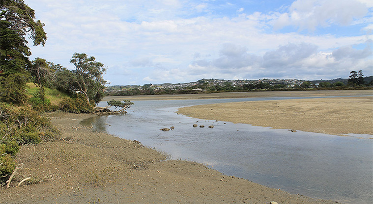 Pōhutukawa Reserve - Views of the Ōrewa Estuary. Photo credit: M Loubser.