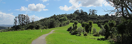Point View Reserve