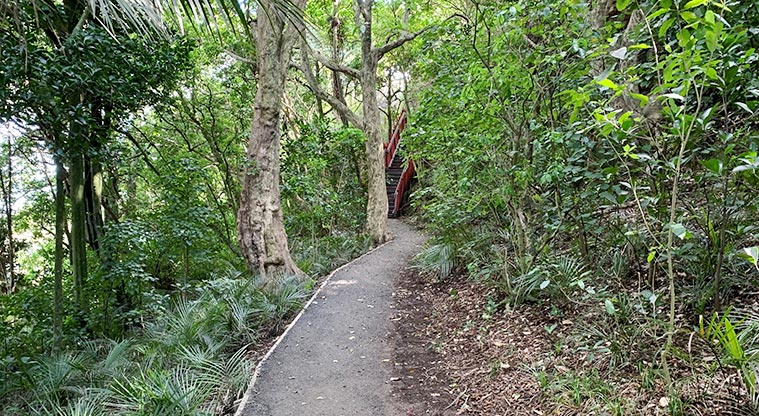 Pukekiwiriki Paa – Path into Pukekiwiriki Paa from entrance.