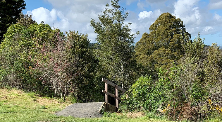 Pukekiwiriki Paa – Top of staircase from the summit of the puke.