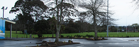Rānui Domain